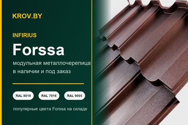 Продолжаем сотрудничество с Infirius: развиваем продажи Forssa в Минском регионе