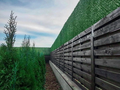 зеленый забор